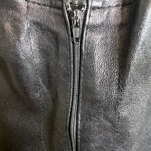 Sz 28 leather DDC Lab with Lycra pants. - Picture 7 of 14